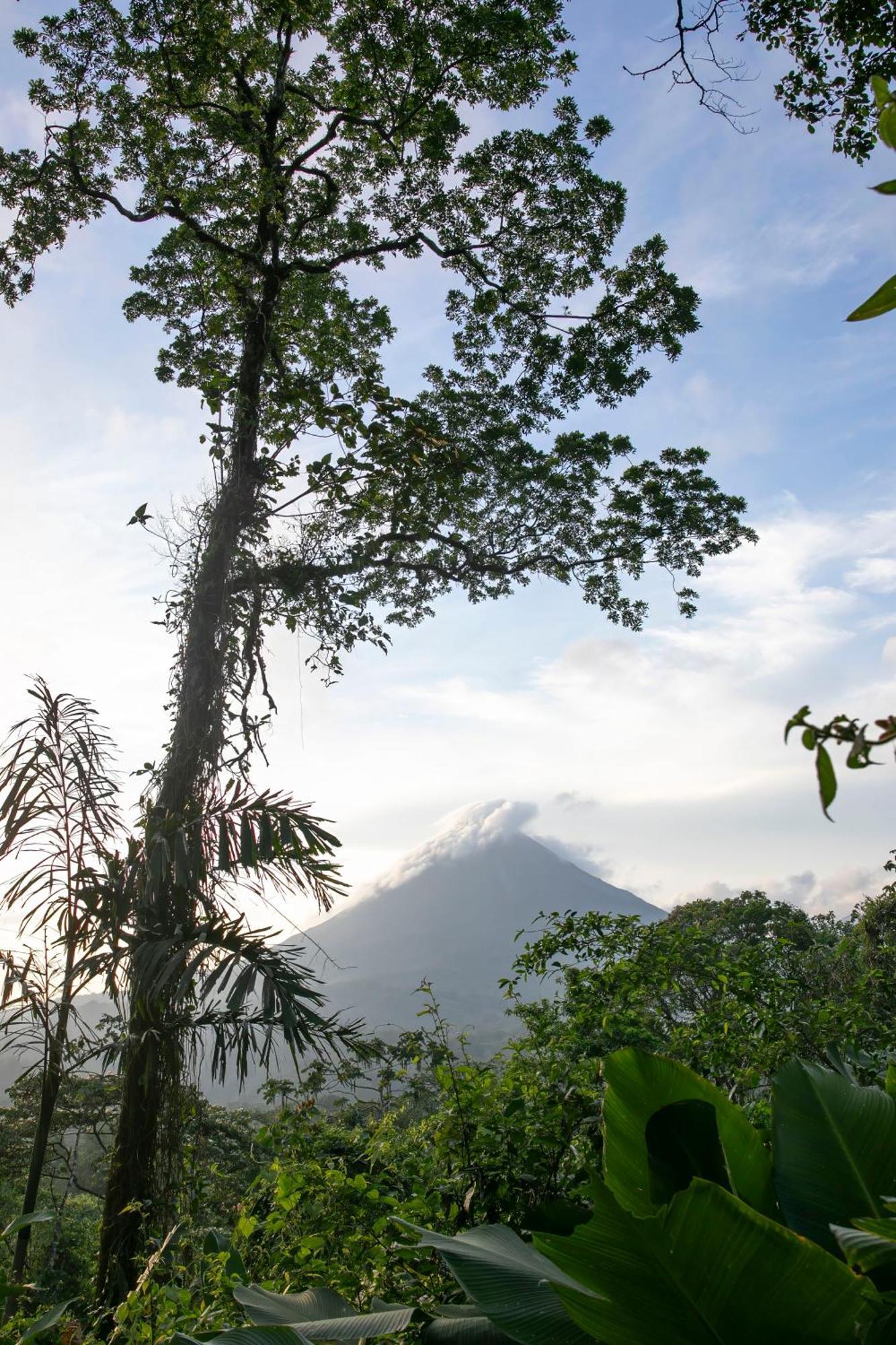Sangregado Lodge La Fortuna Exterior photo