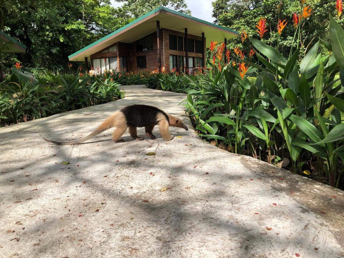 Sangregado Lodge La Fortuna Exterior photo